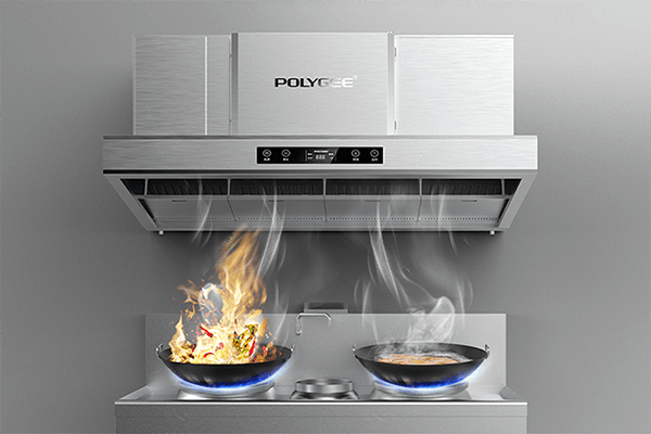 Polygee Kitchen ESP Hood — All-in-One Purification